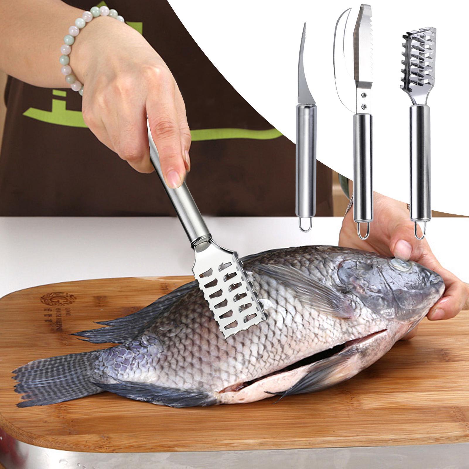 Pisau Pengupas Sisik Ikan, Pen - Kitchen Gadgets For Seniors ulasan dan harga
