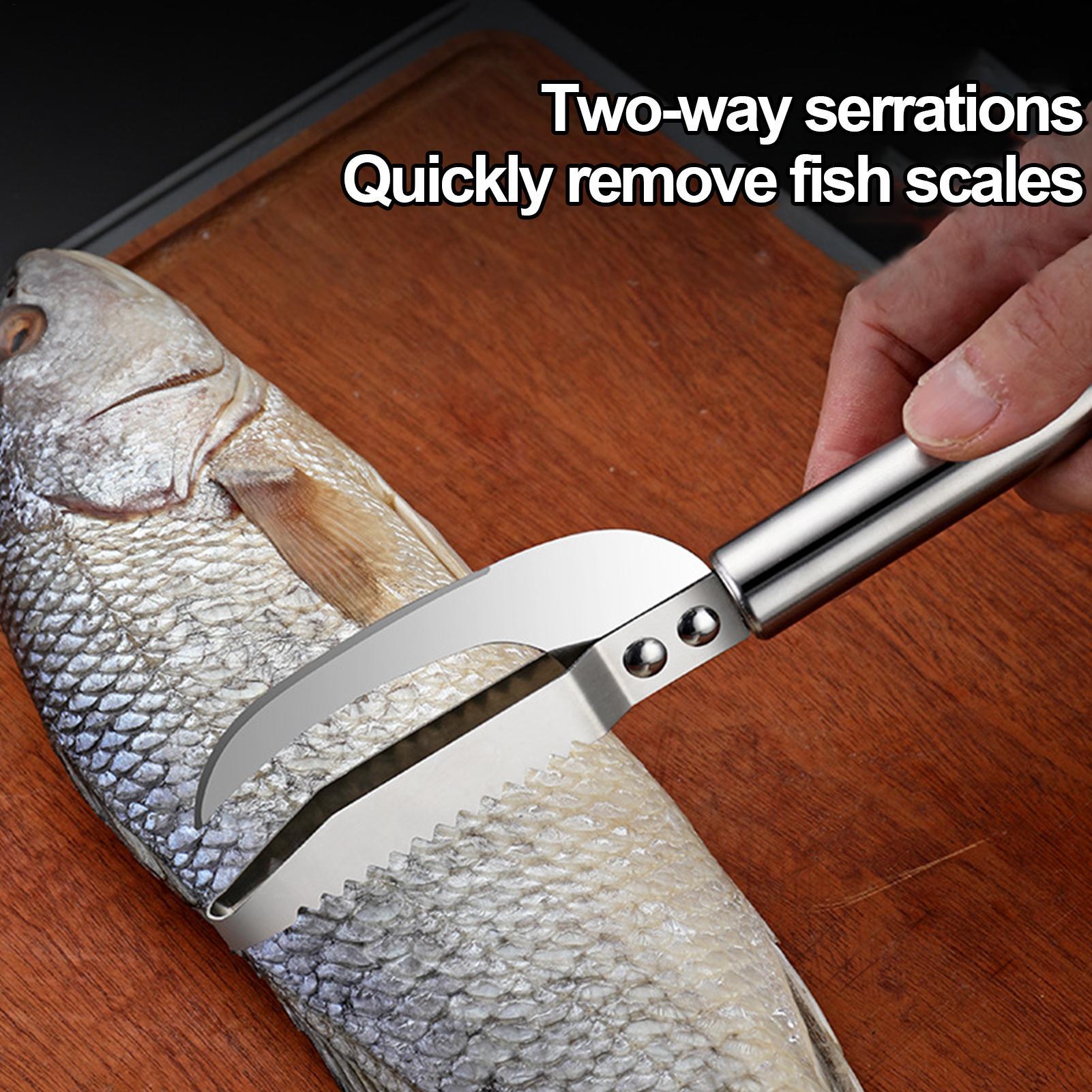 Pisau Pengupas Sisik Ikan, Pen - Kitchen Gadgets For Seniors ulasan dan harga