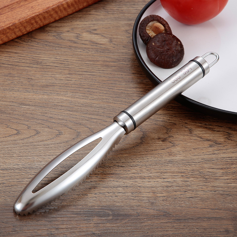 Penggiling Gesekan Sisik Ikan  - Kitchen Gadgets For Seniors ulasan dan harga